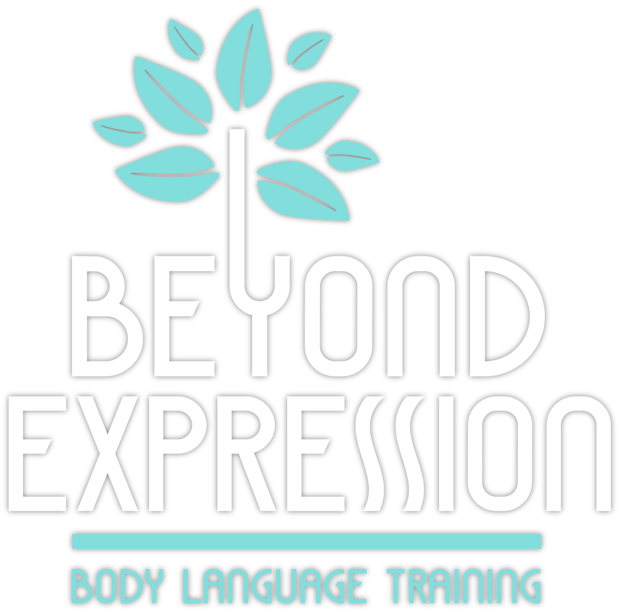 Beyond Expression, Body Language training, nonverbal communication